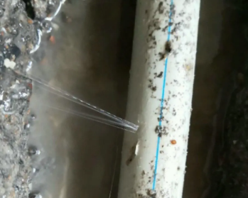 龙江卫生间测漏水多少钱